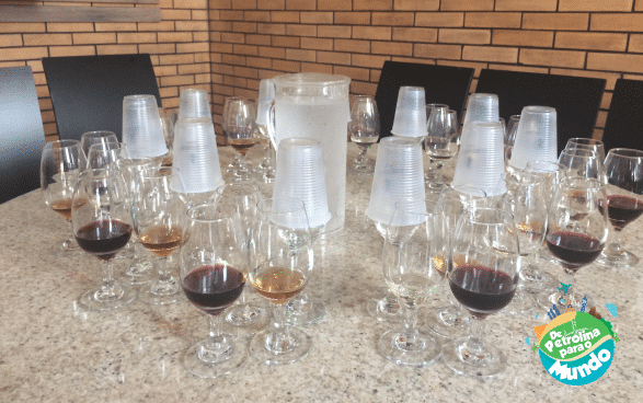 Passeio Vapor do Vinho – Parte 1:  Vinícola Miolo