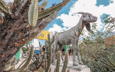 Do Bodódromo às vinícolas: um passeio gastronômico em Petrolina