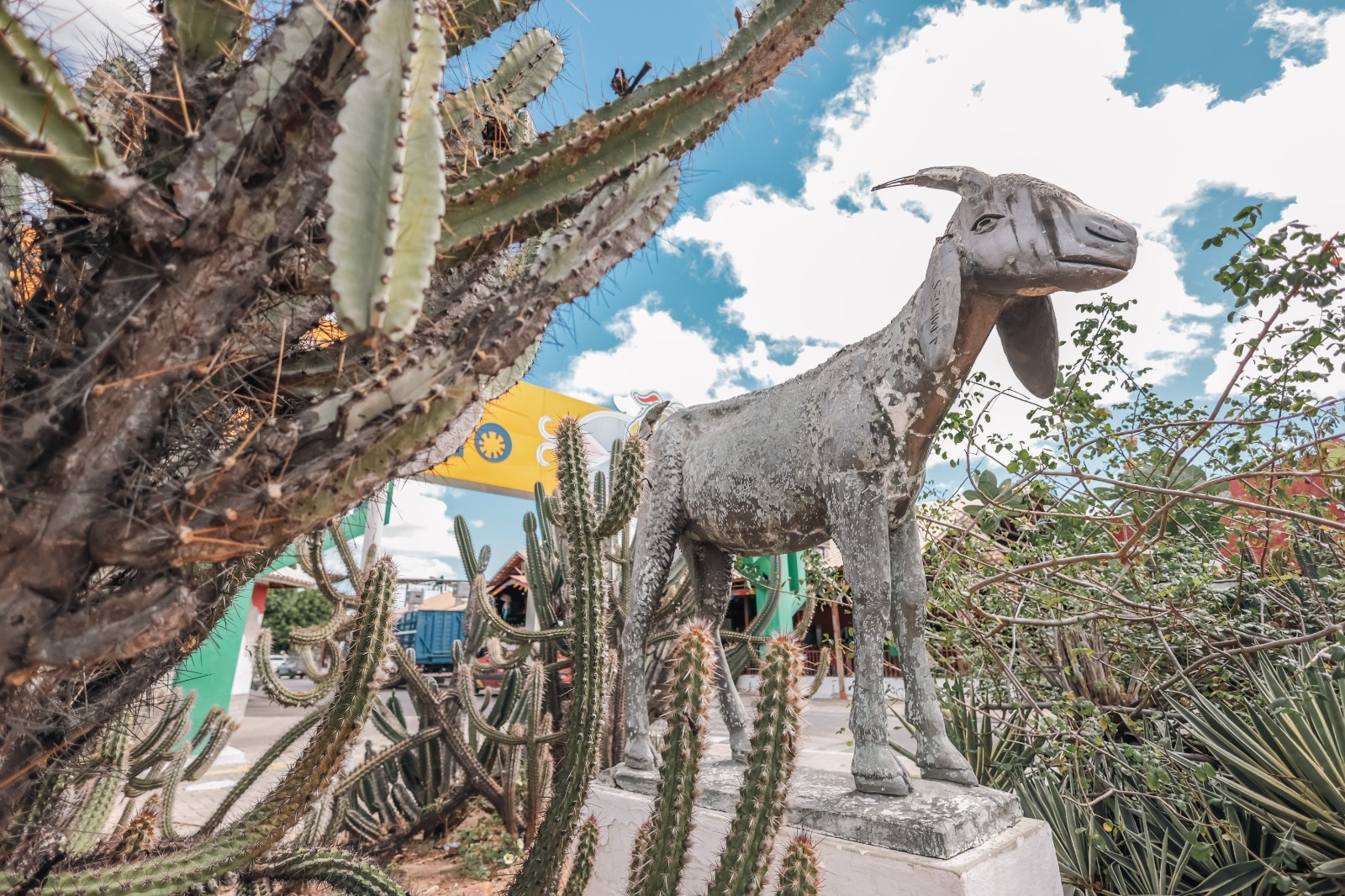 Do Bodódromo às vinícolas: um passeio gastronômico em Petrolina