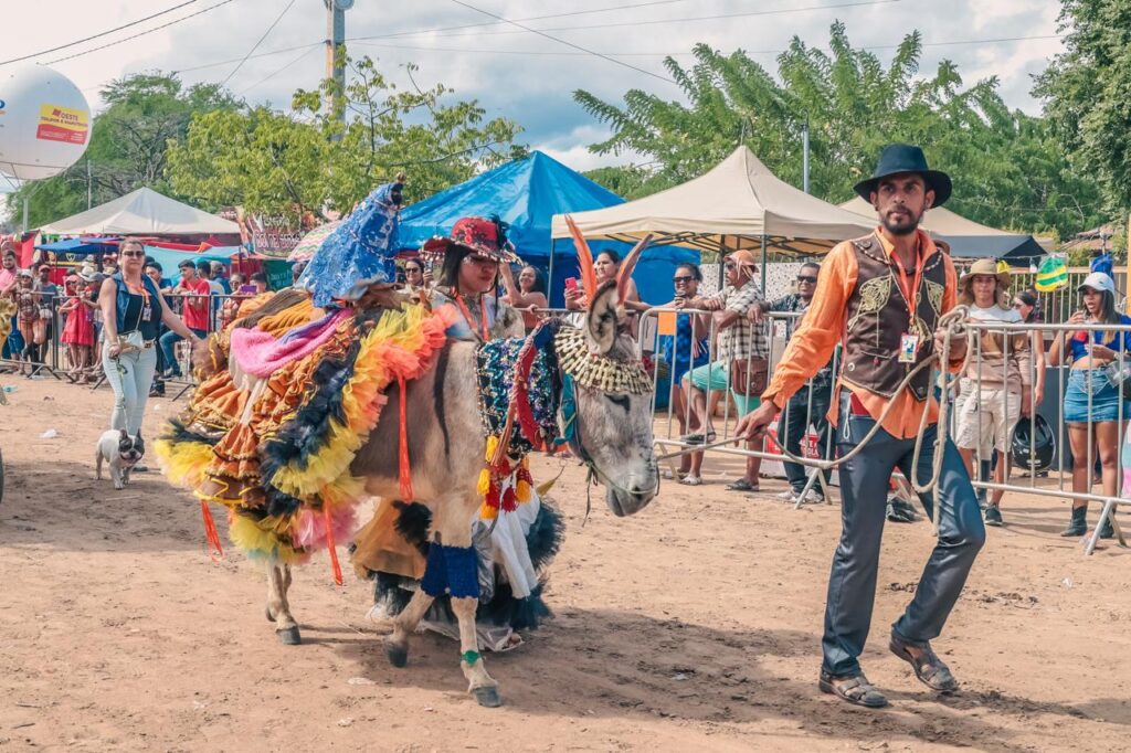 jecana do capim jegue fashion